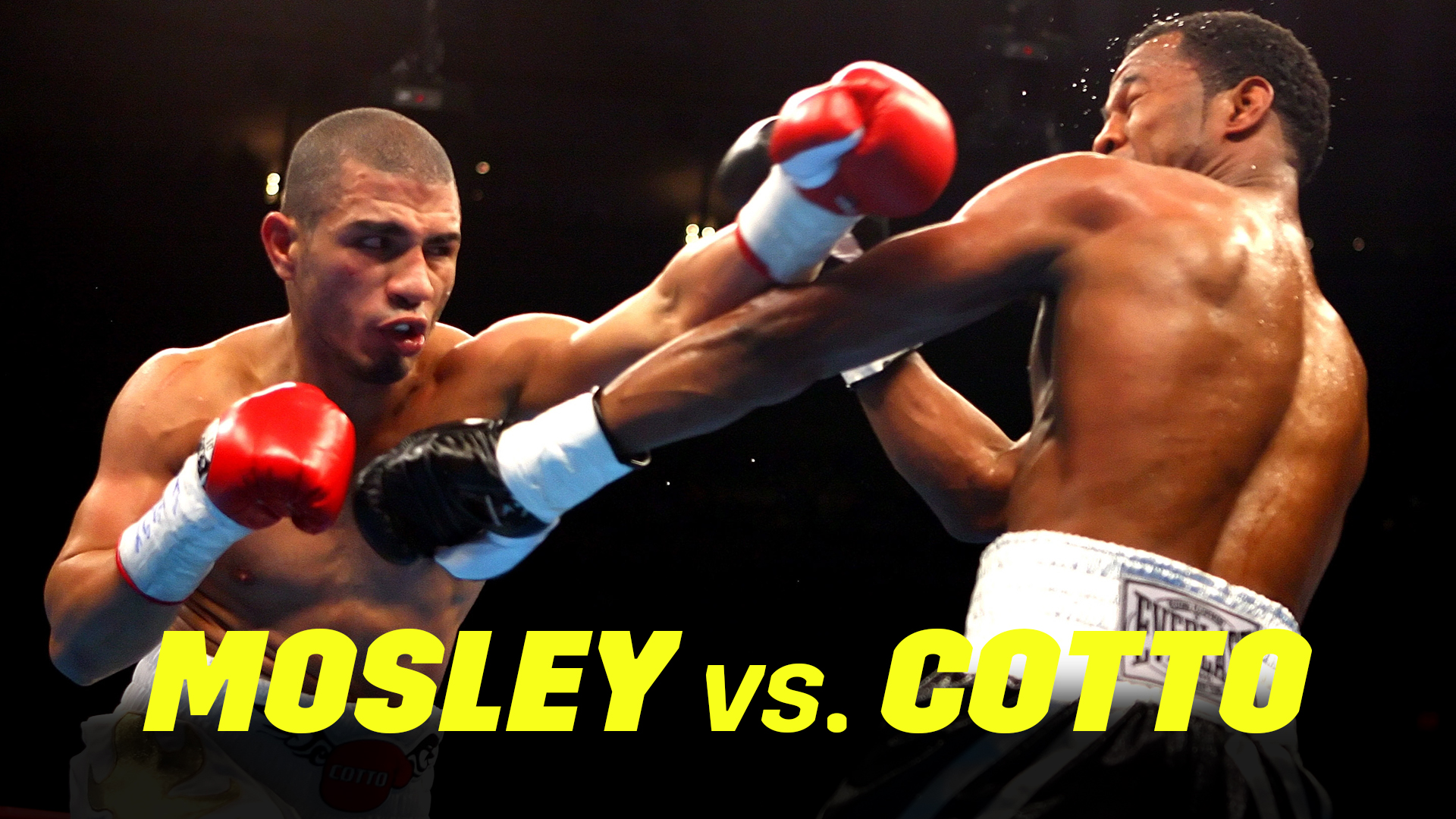 Mosley vs. Cotto (2007)