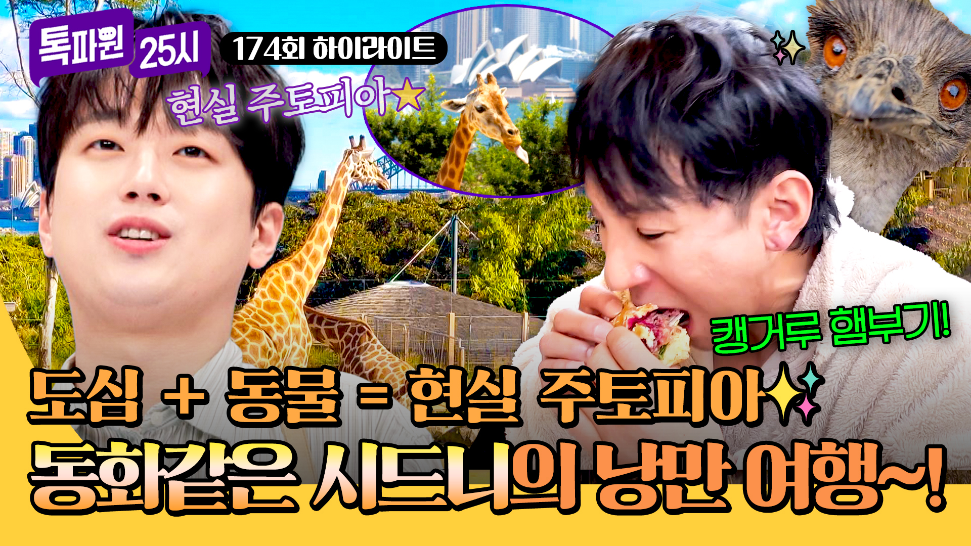 곰을 눈앞에서 볼 수 있다고? 동물 관찰하기 딱 좋은 여행지!