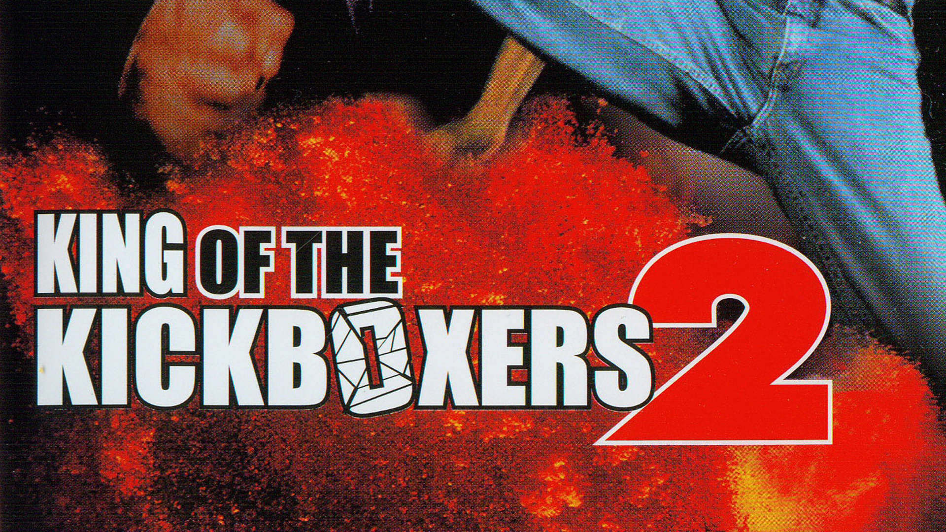 King Of The Kickboxer 2