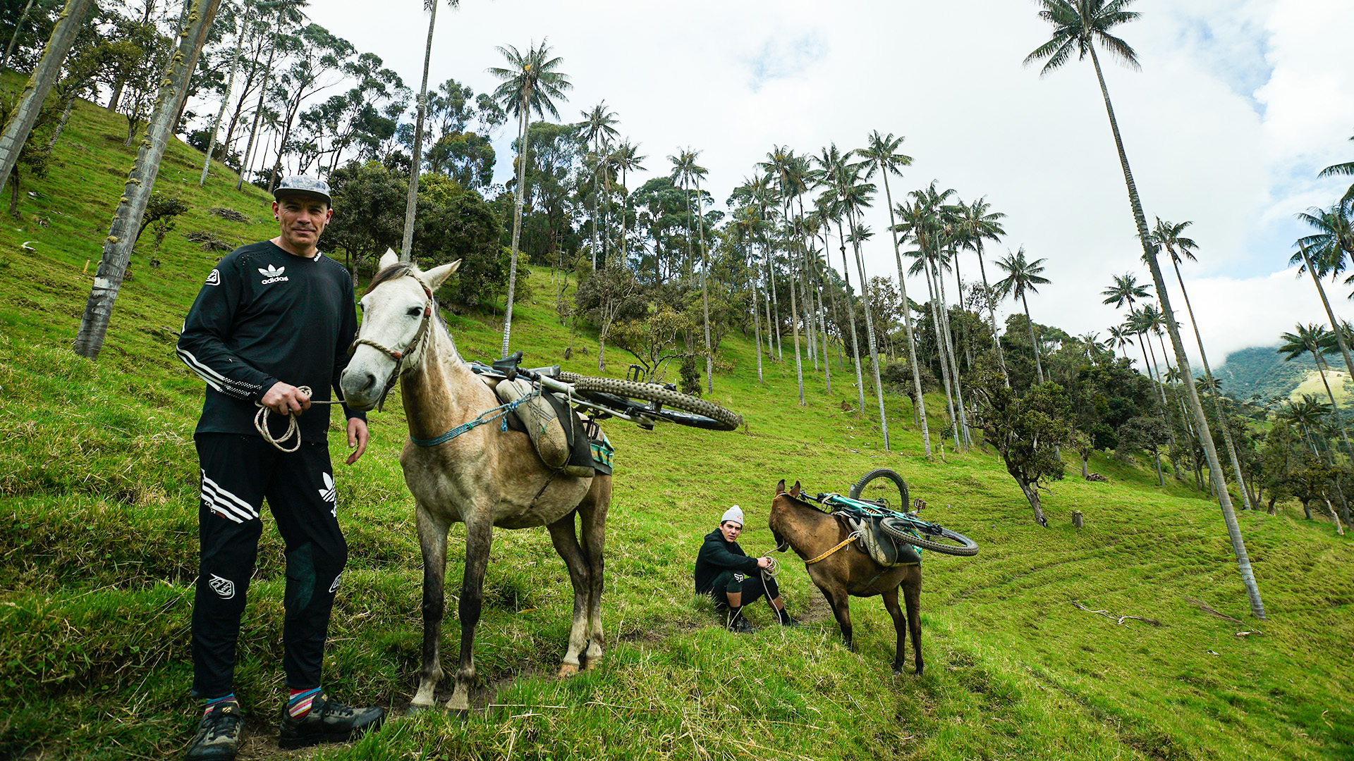Rob Warner's Wild Rides