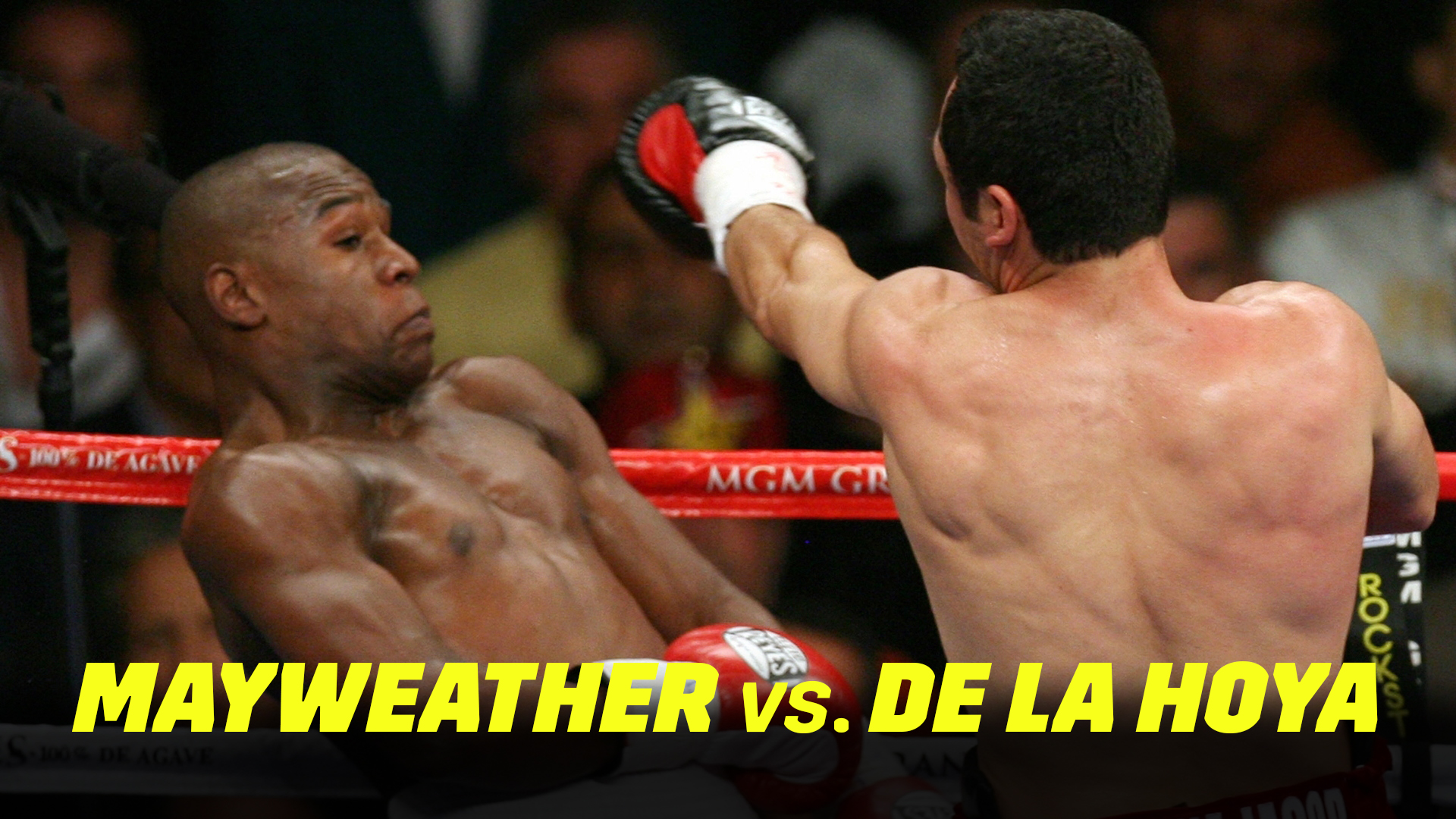 Mayweather vs. De La Hoya (2007)