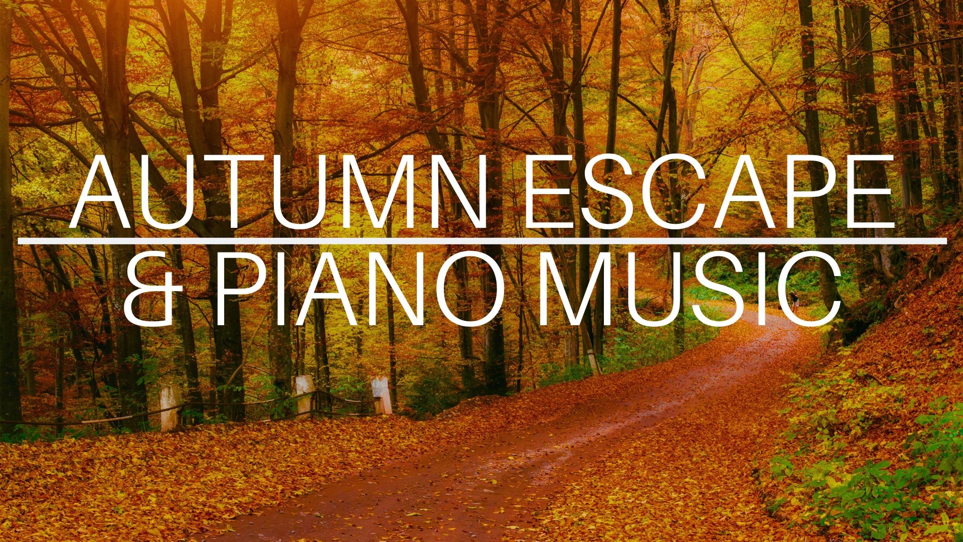 Autumn Escape Leaves & Piano Music