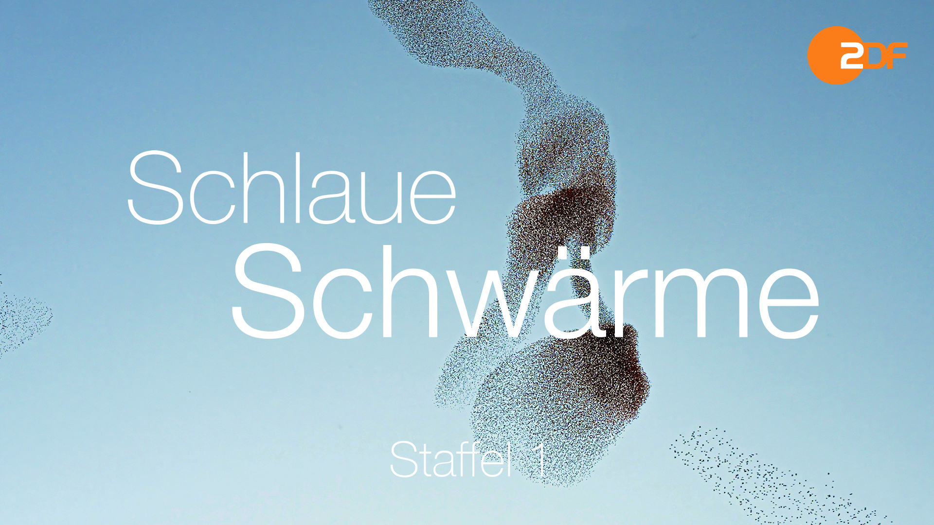 Schlaue Schwärme, Staffel 1