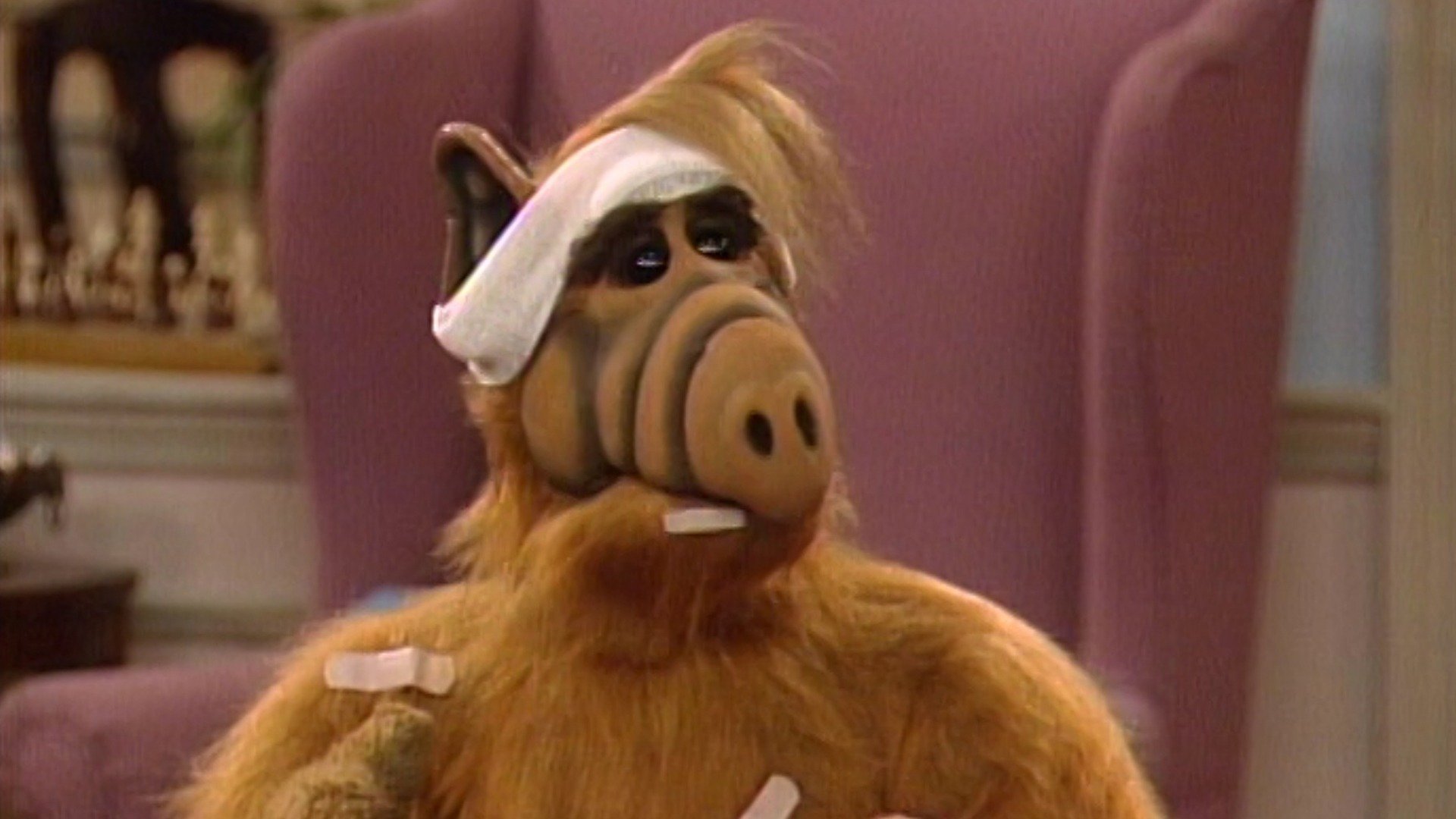 ALF