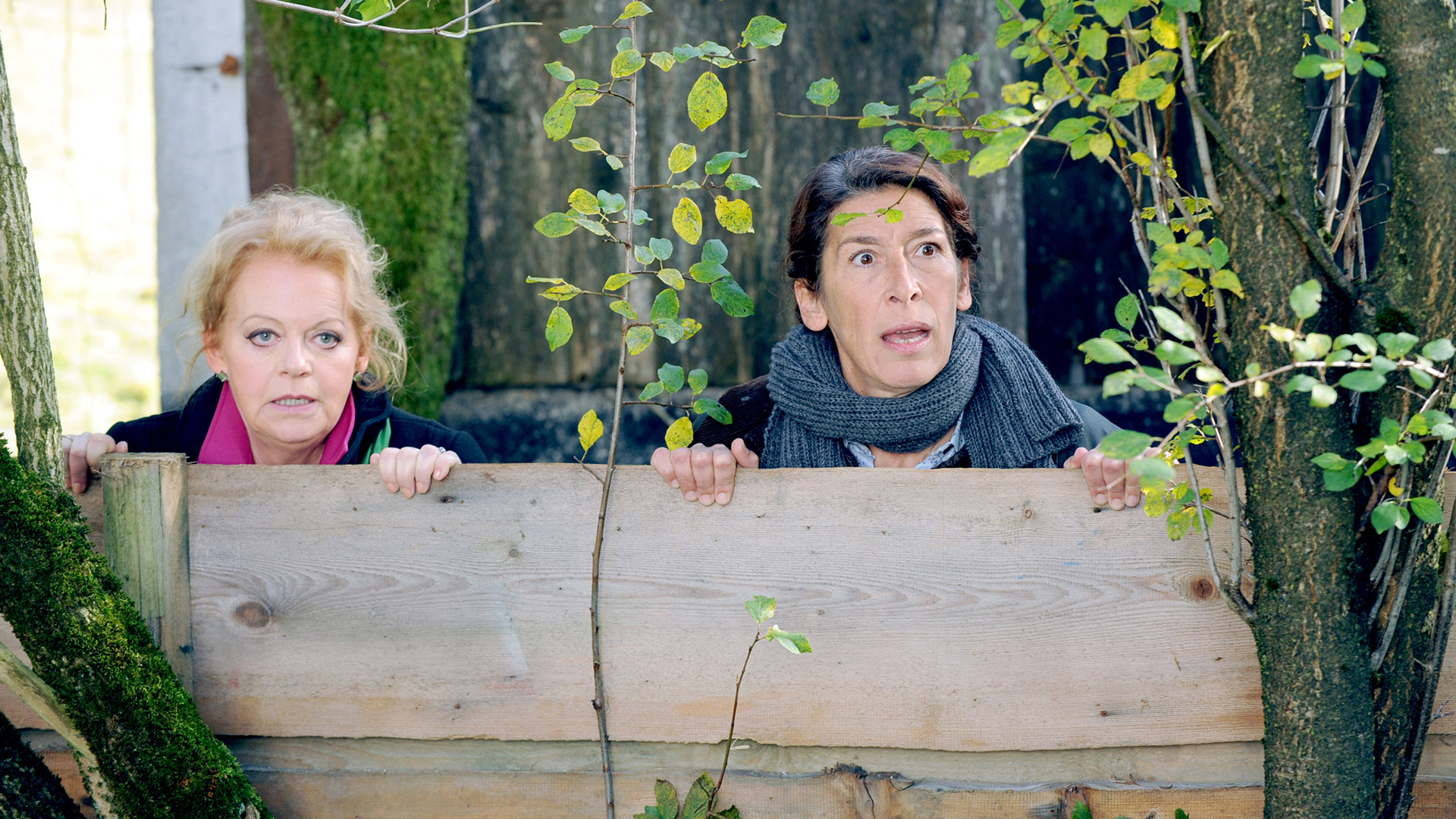 Vier Frauen und ein Todesfall