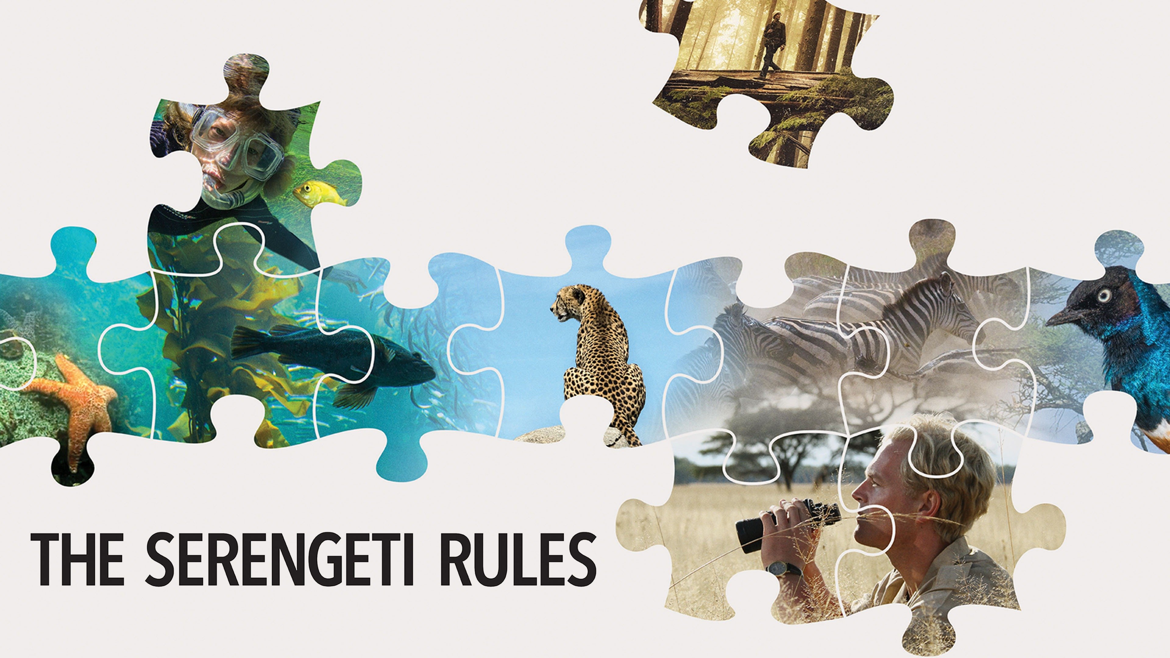 The Serengeti Rules