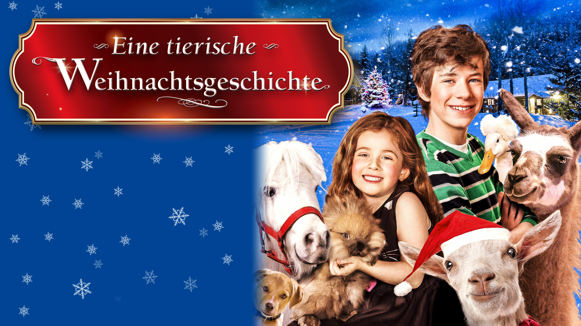 Eine tierische Weihnachtsgeschichte