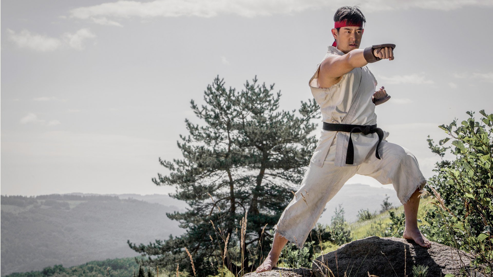 Street Fighter: Assassin's Fist