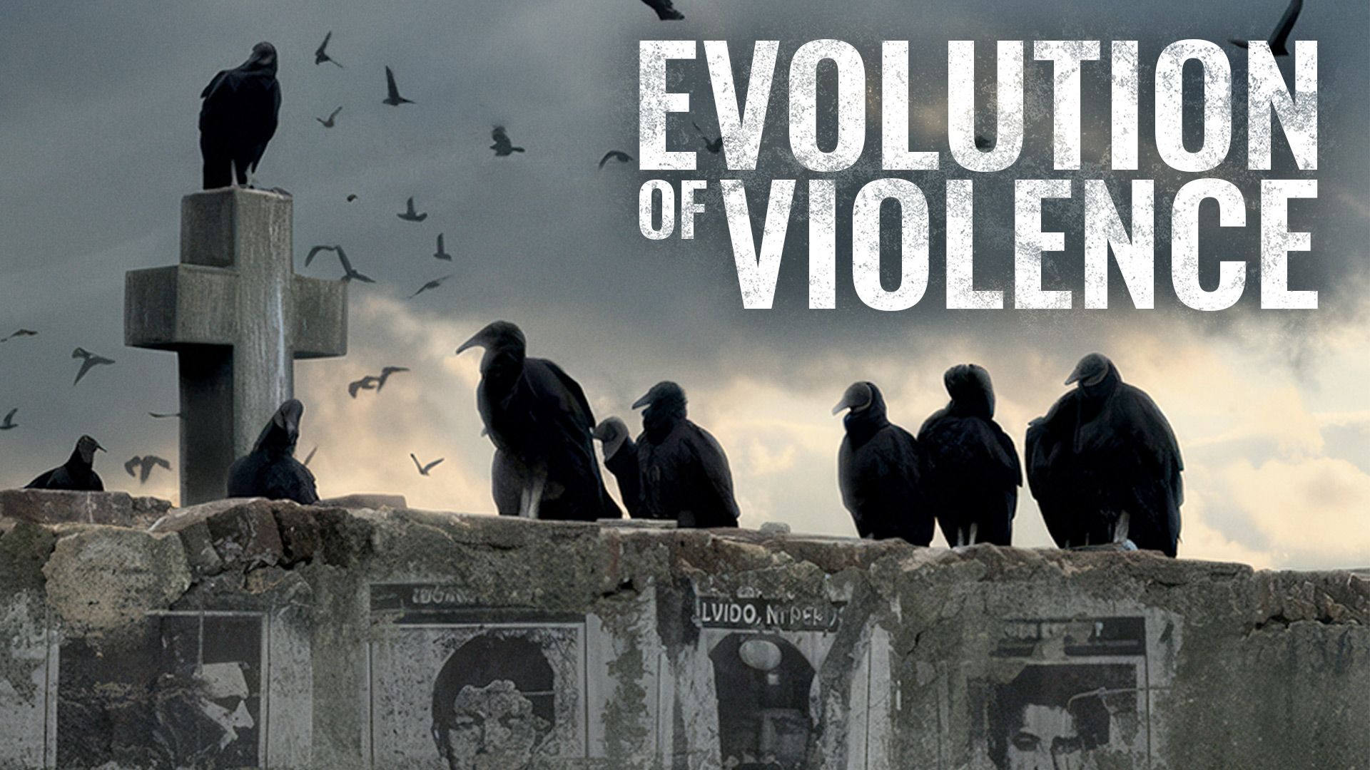 Evolution of Violence