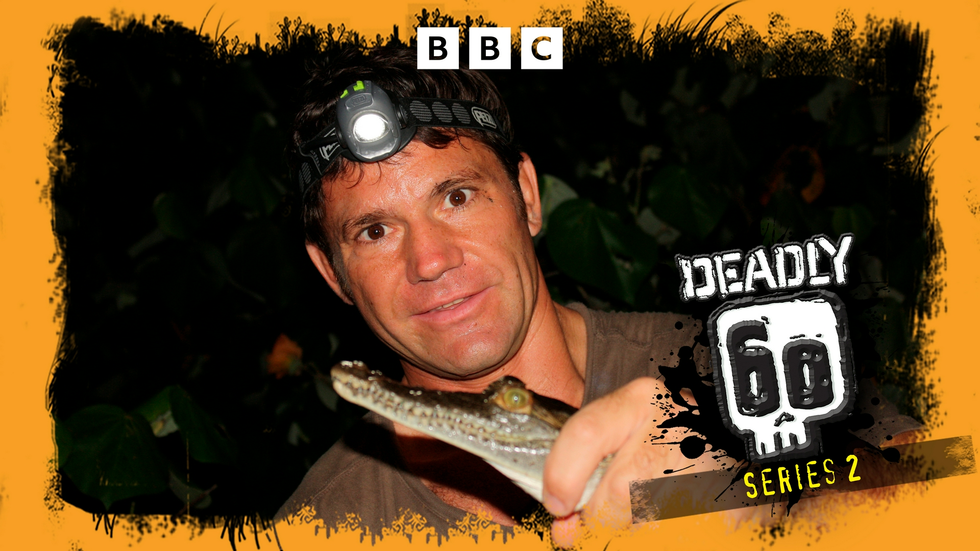 Mortels animaux Vancouver