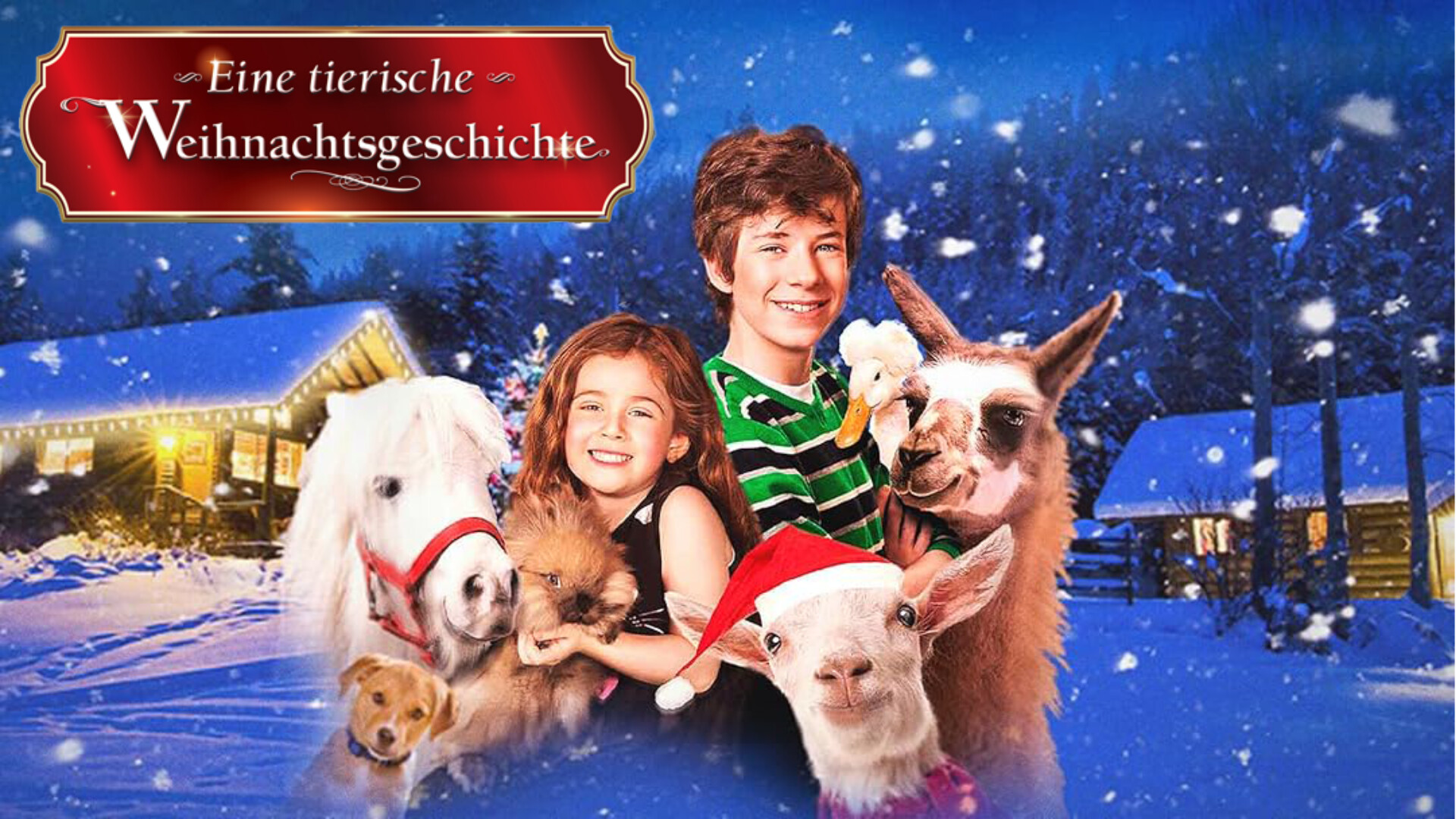 Eine tierische Weihnachtsgeschichte
