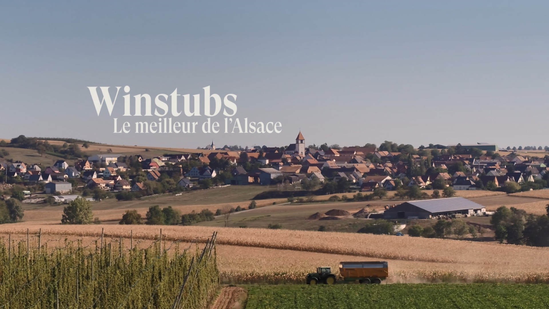Les Winstubs : Le Meilleur de l'Alsace