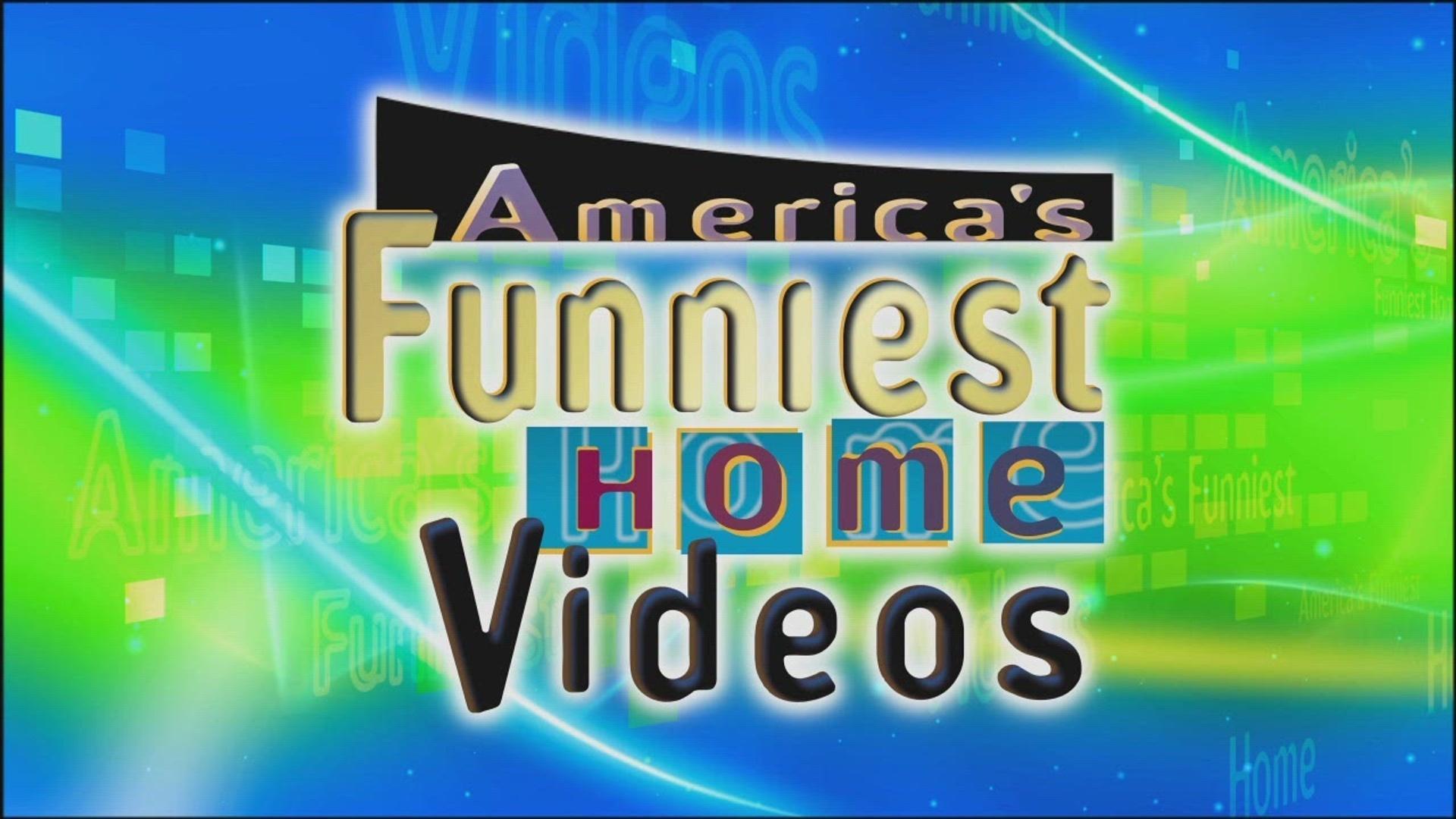 America's Funniest Home Videos