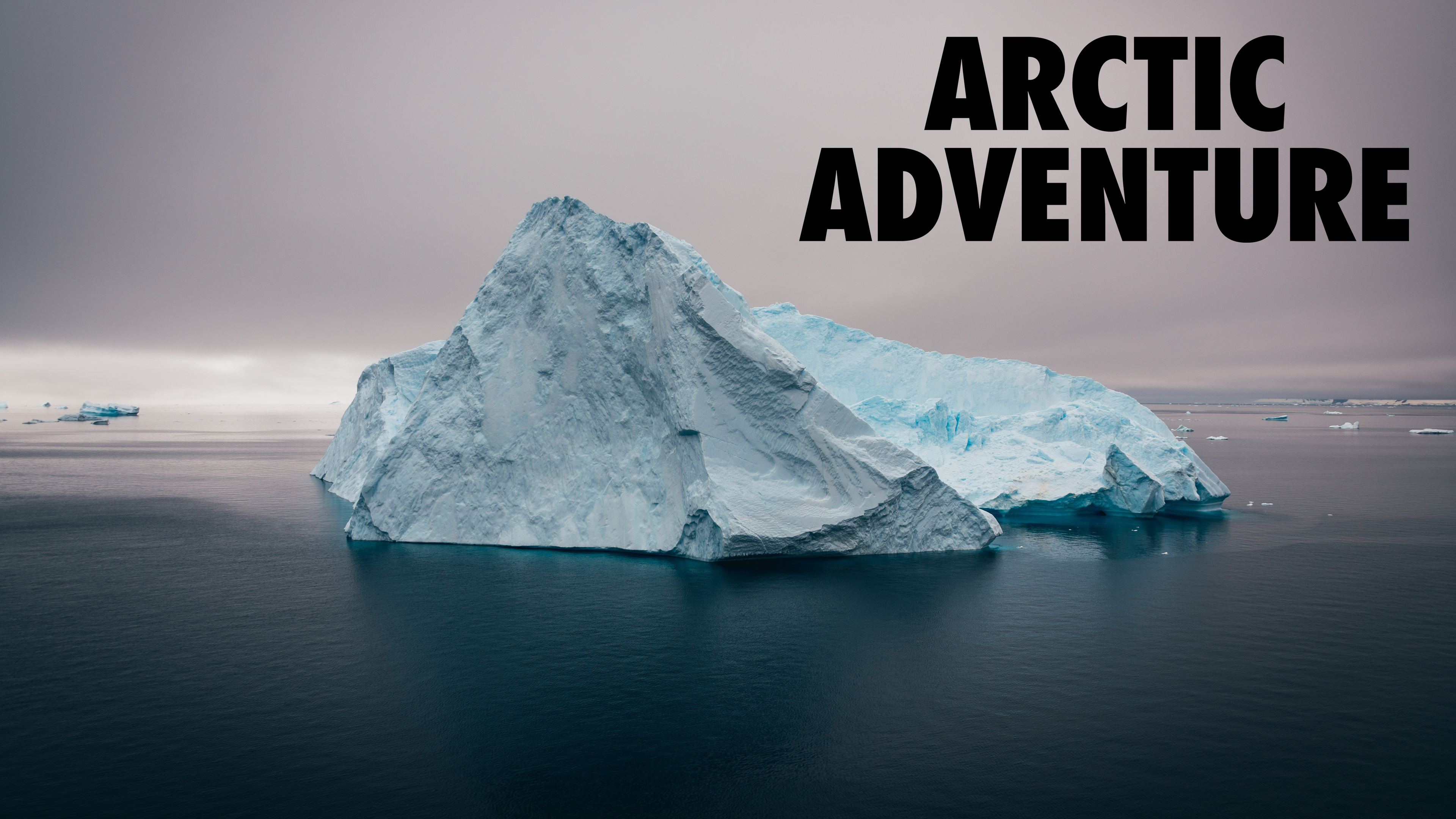 Arctic Adventure