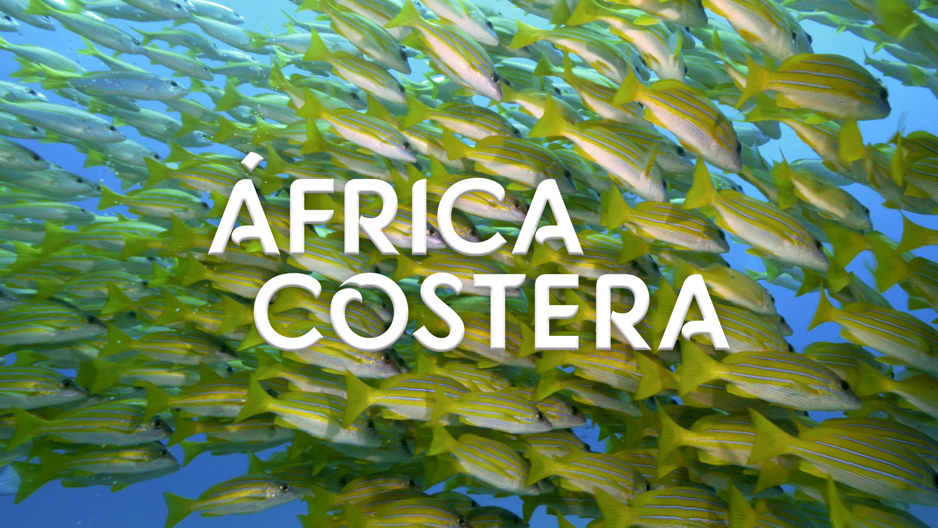 África Costera