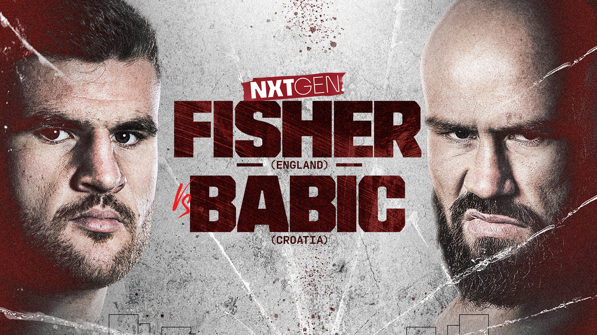 Fisher vs. Babic (2024)