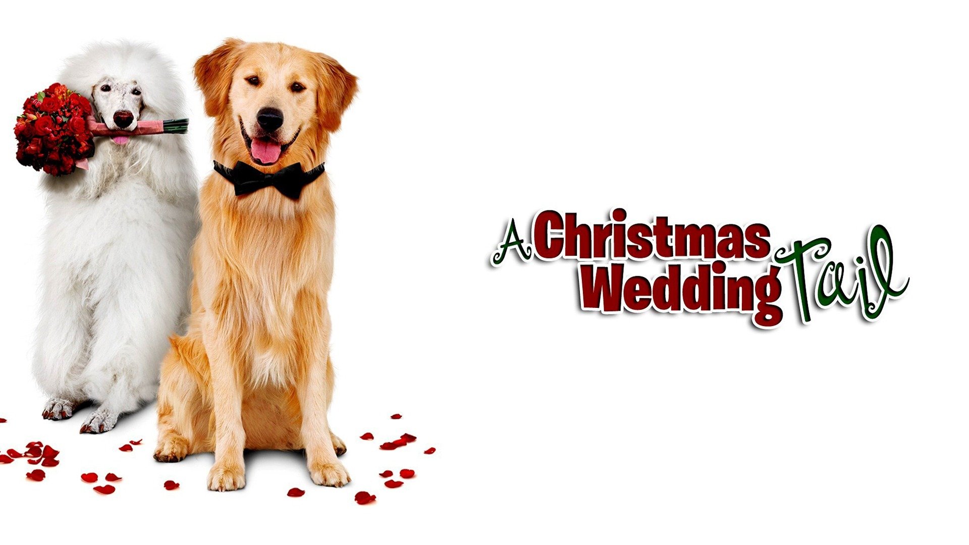 A Christmas Wedding Tail