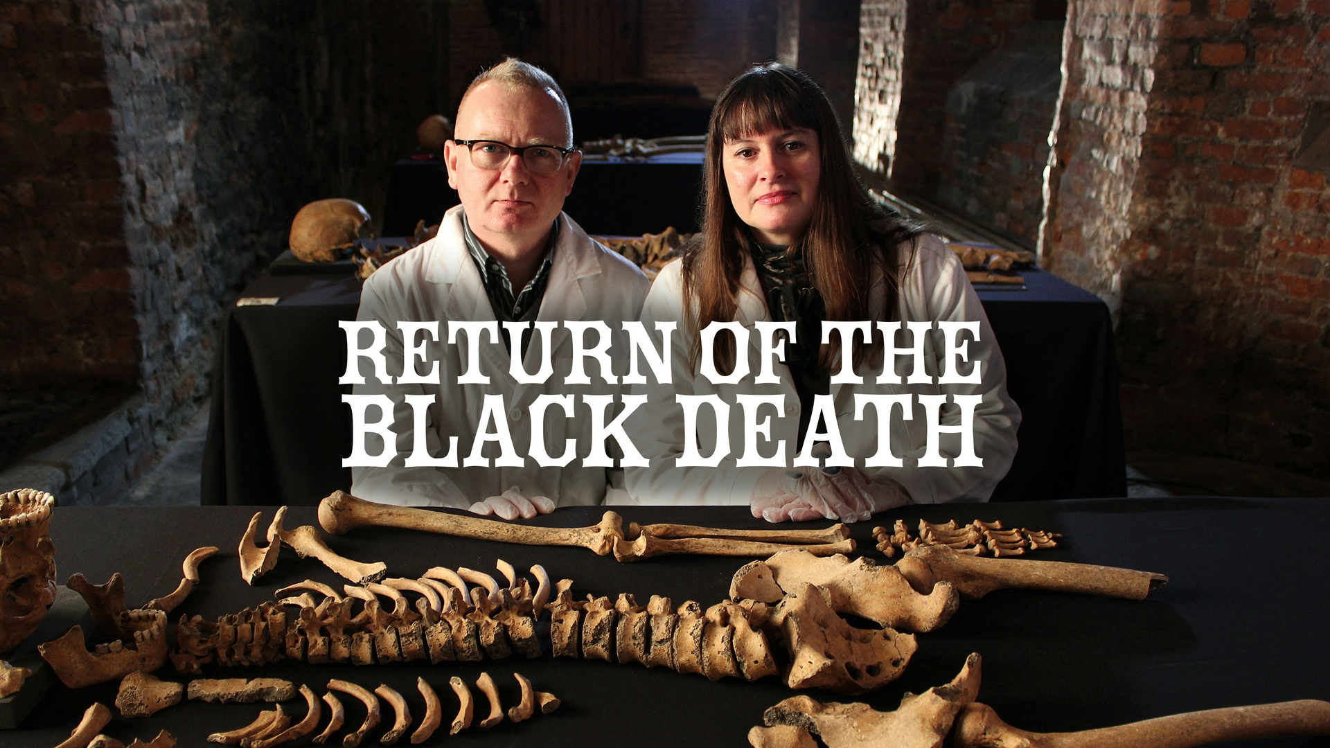 Das Jahr des Schwarzen Todes