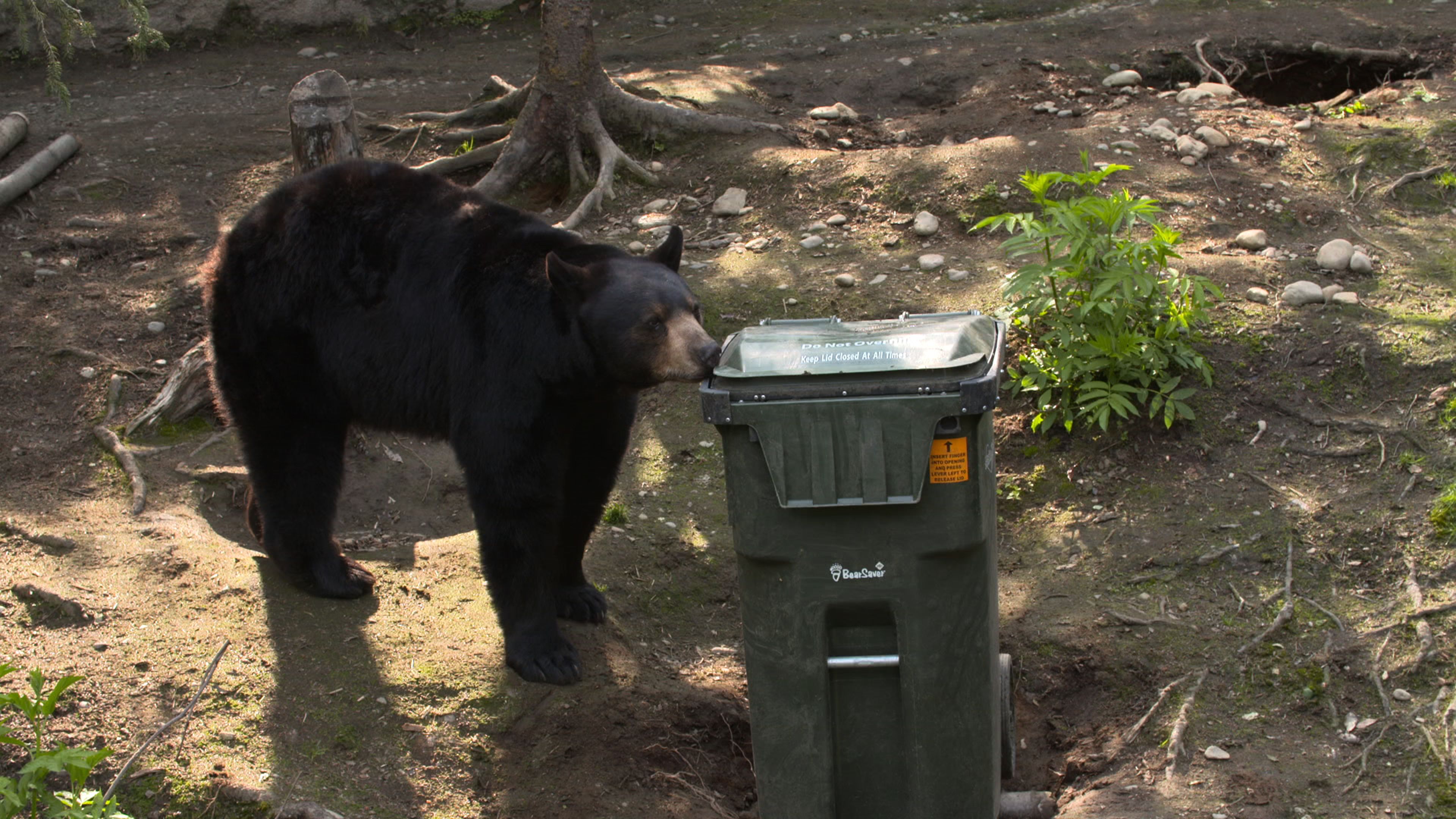 World's Wildest City: Anchorage