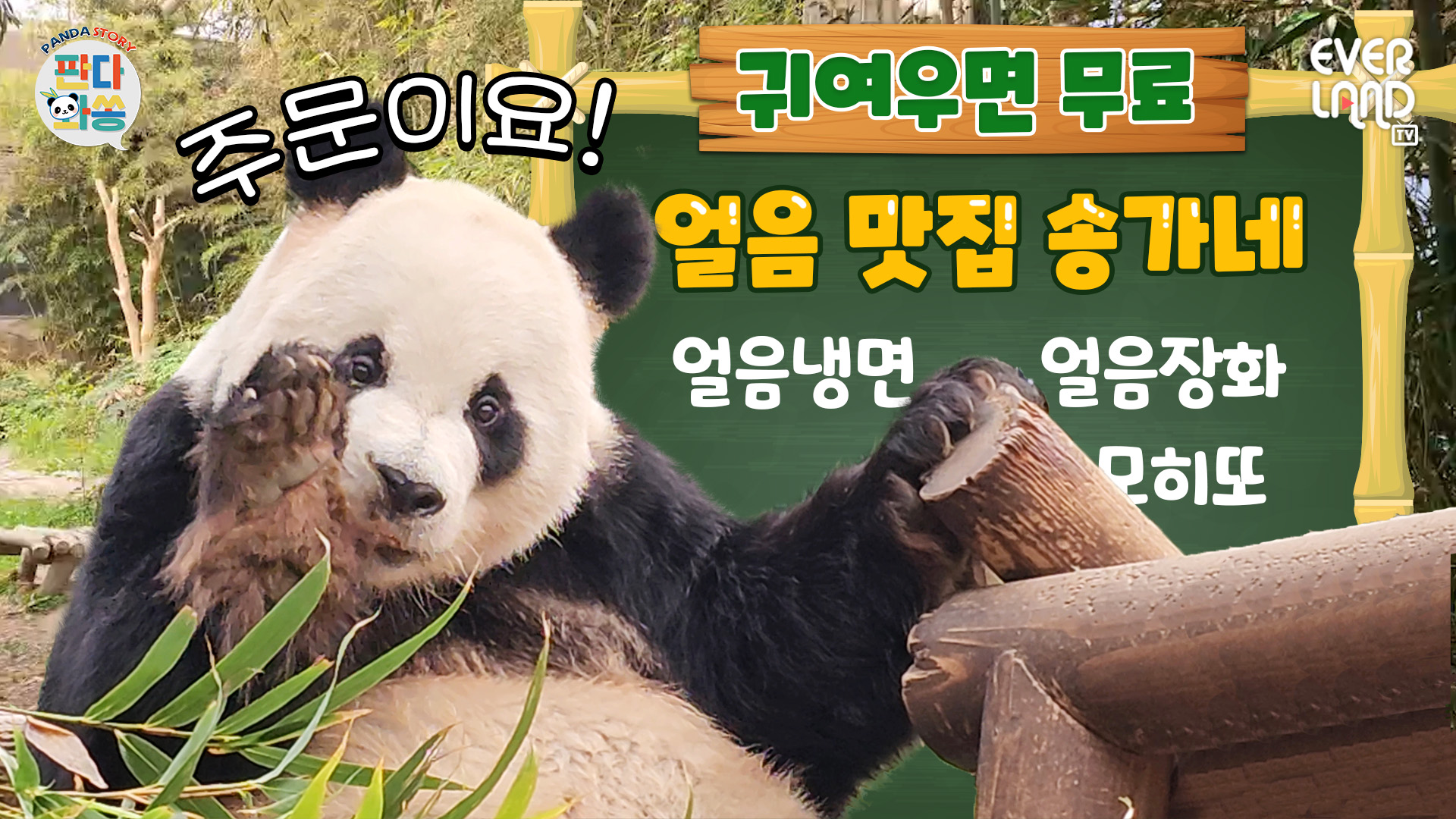 러바오의 뚠뚠빵빵 시원한 브이로그 105회