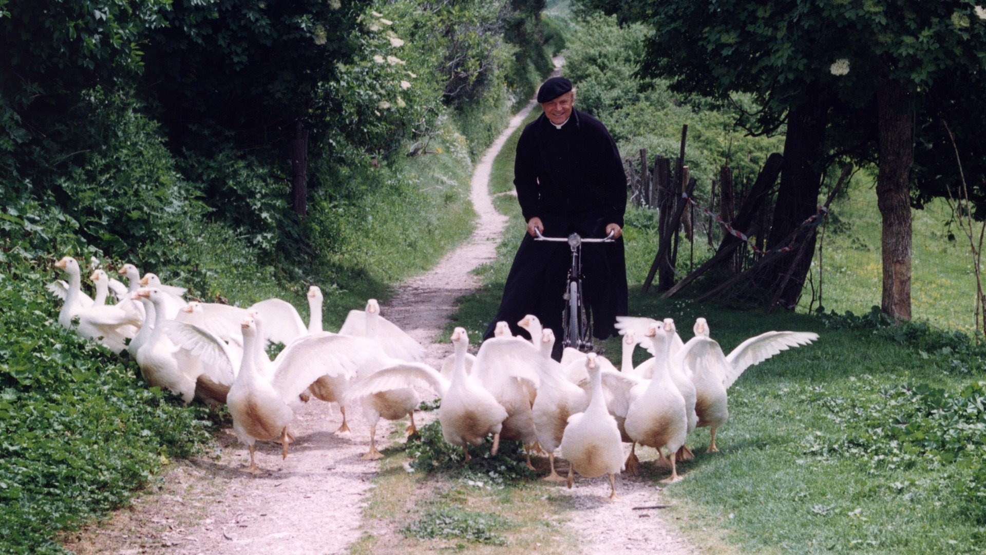 The Scorpion's Strategy