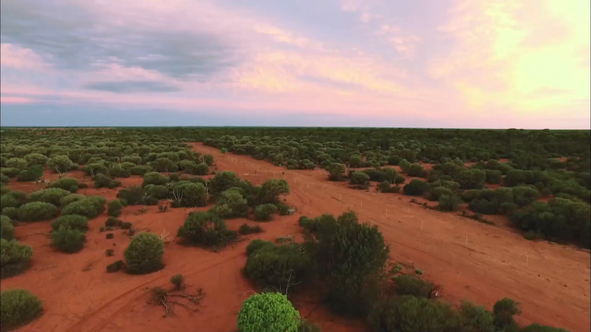 Australie, la ruée vers l'or