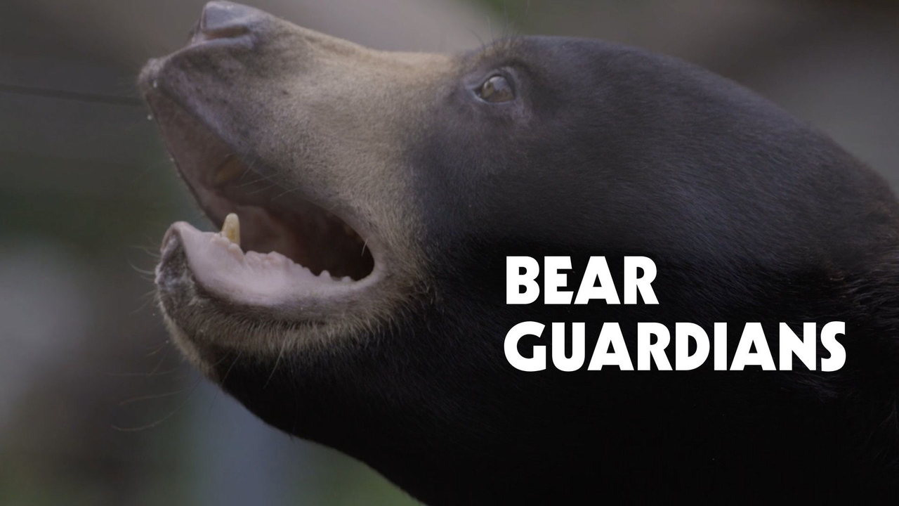 Bear Guardians