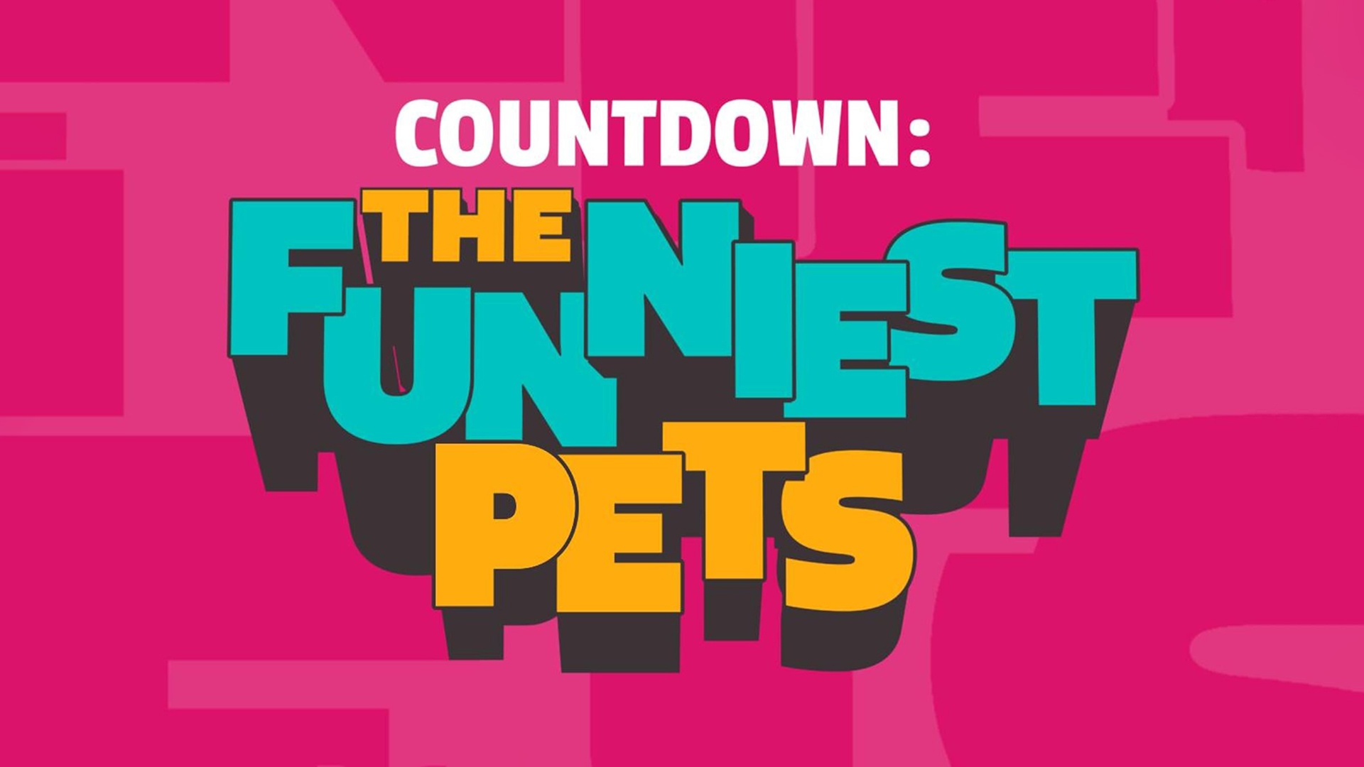 Countdown: The Funniest Pets