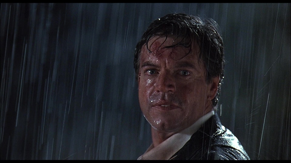 Alla Ricerca Dello Stregone