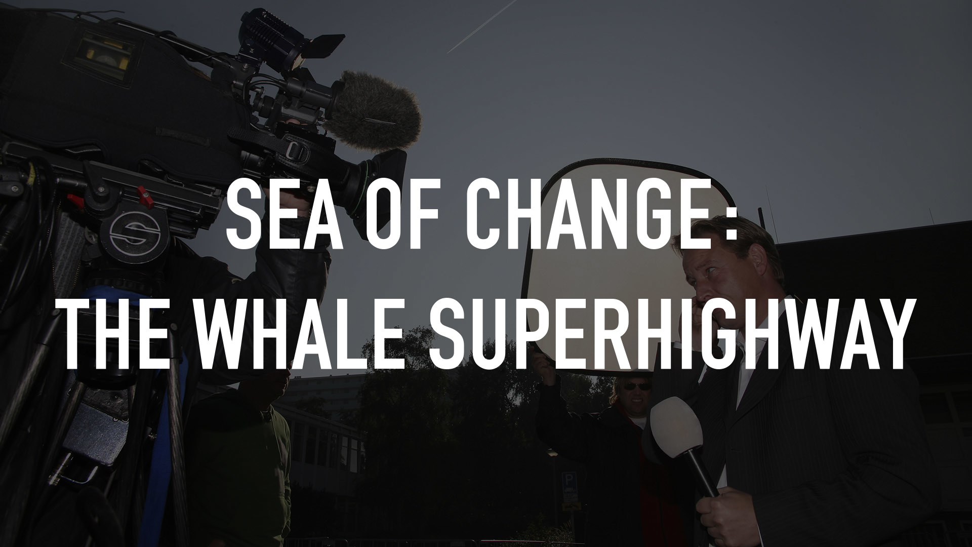 Sea of Change: The Whale Superhighway