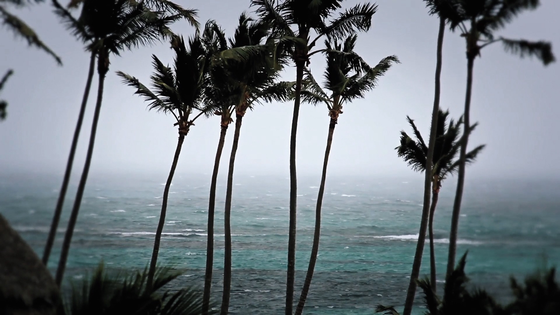 Storm Hunters | Ferocity in Florida