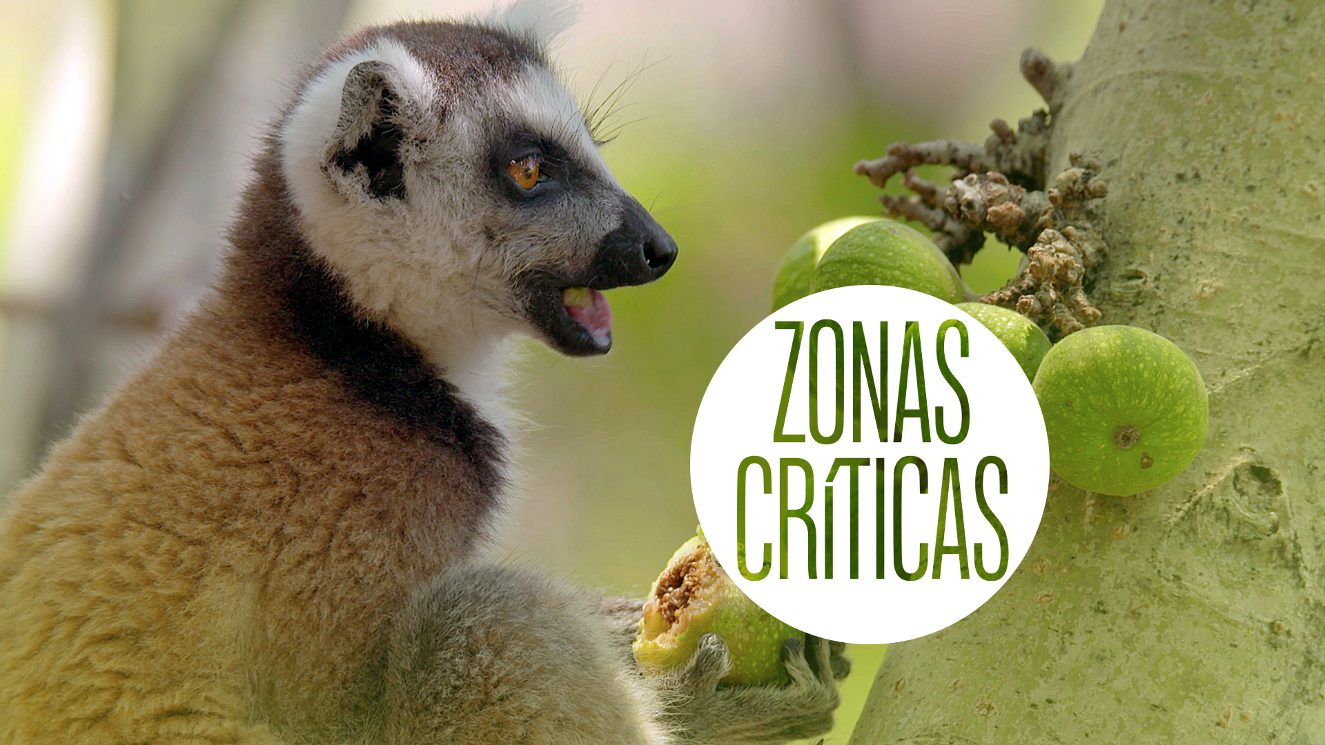 Zonas críticas