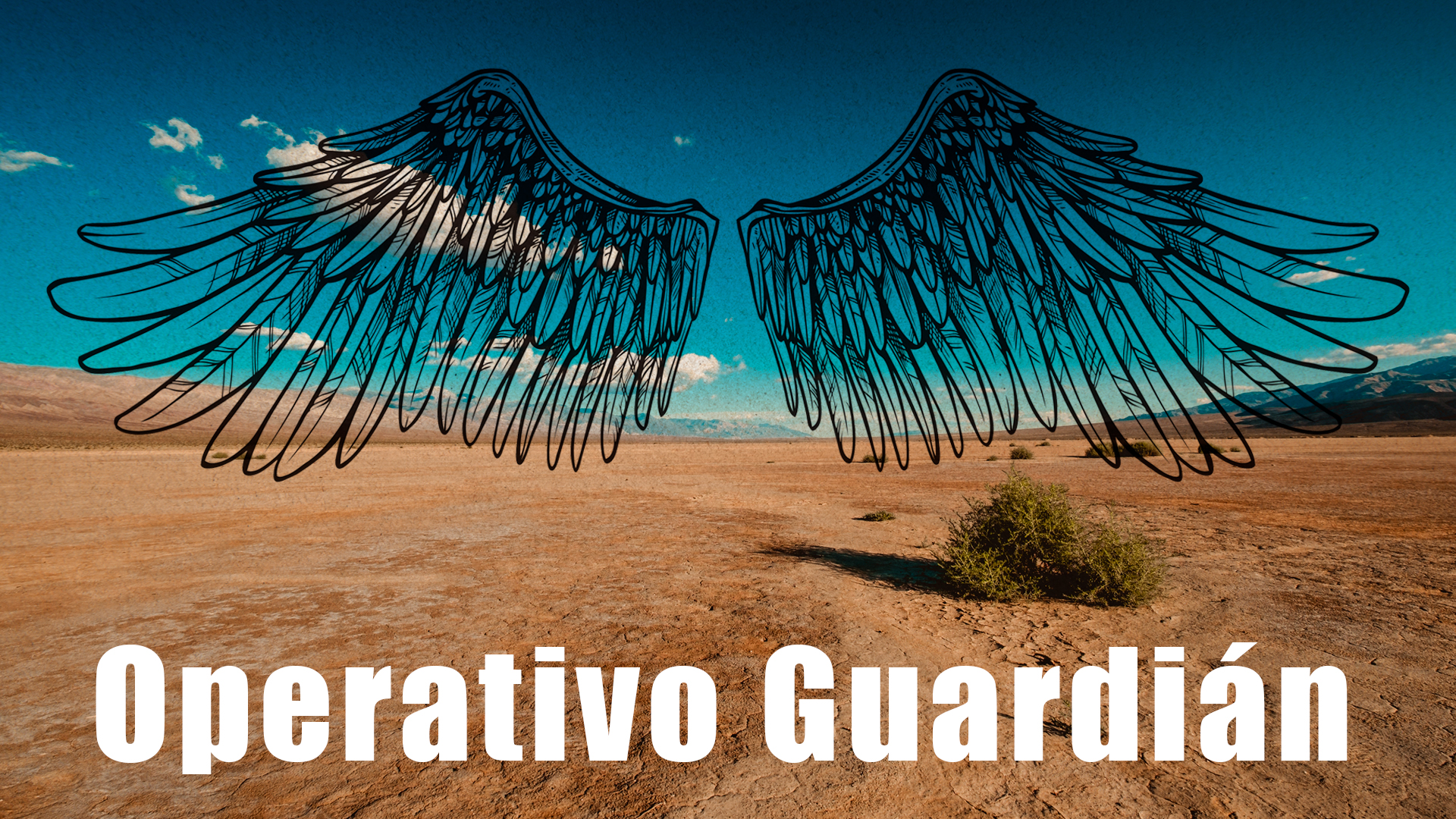 Operativo Guardián