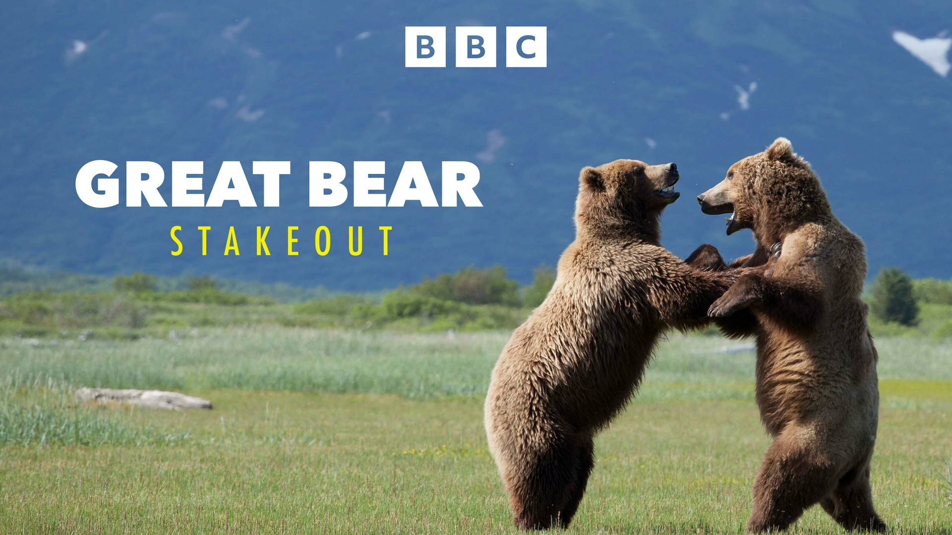 Sur les traces des ours Épisode 1