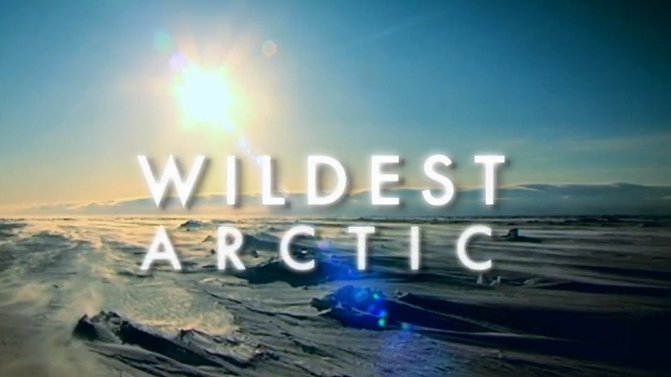 Wildest Arctic: Iceland: Land of Fire and Ice