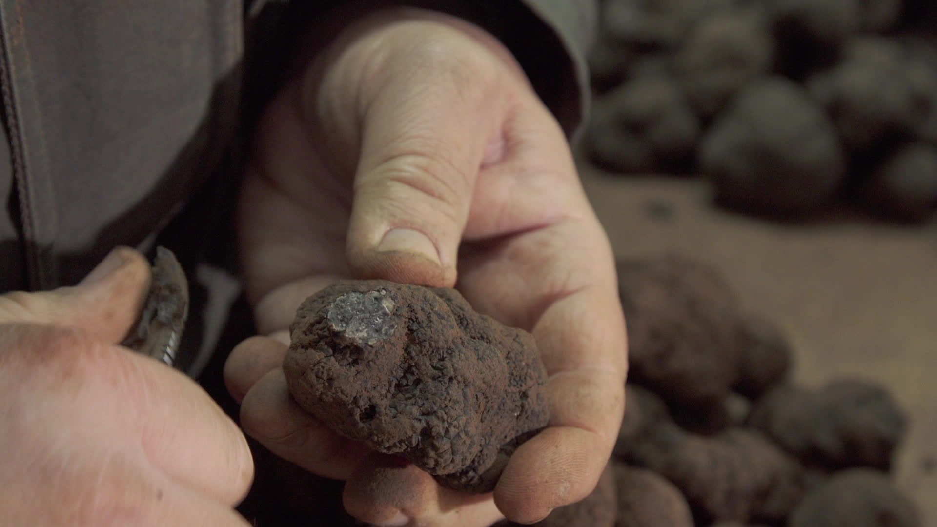 Itinéraires Paysans