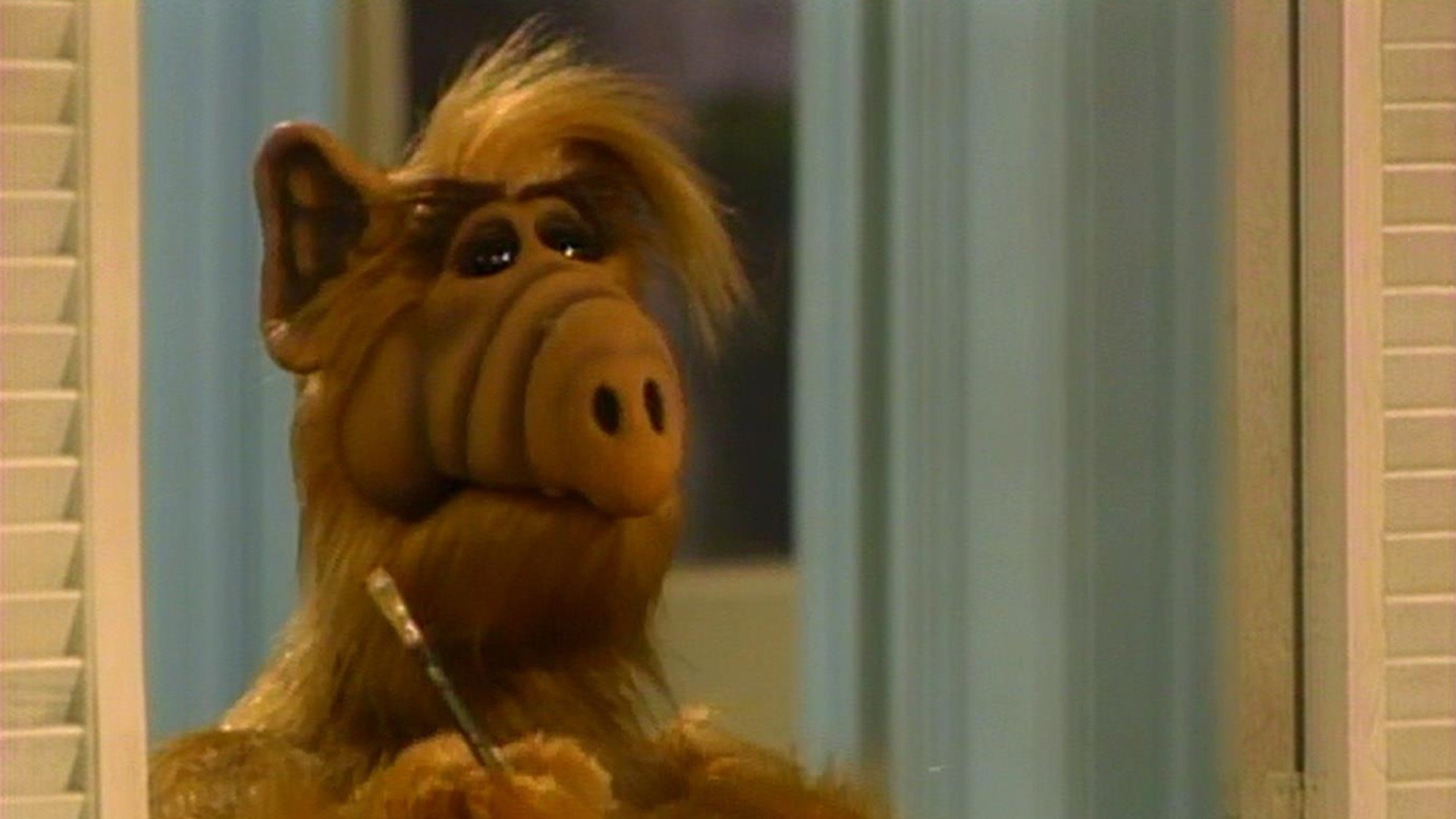 Alf