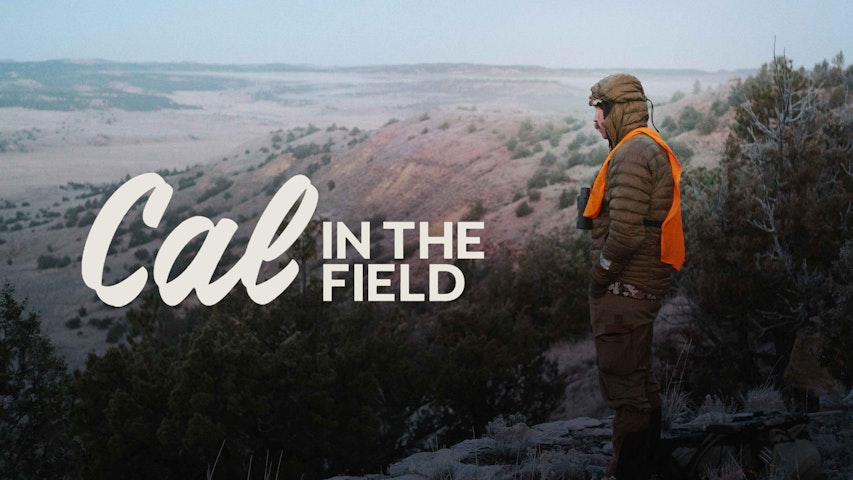 Cal in the Field