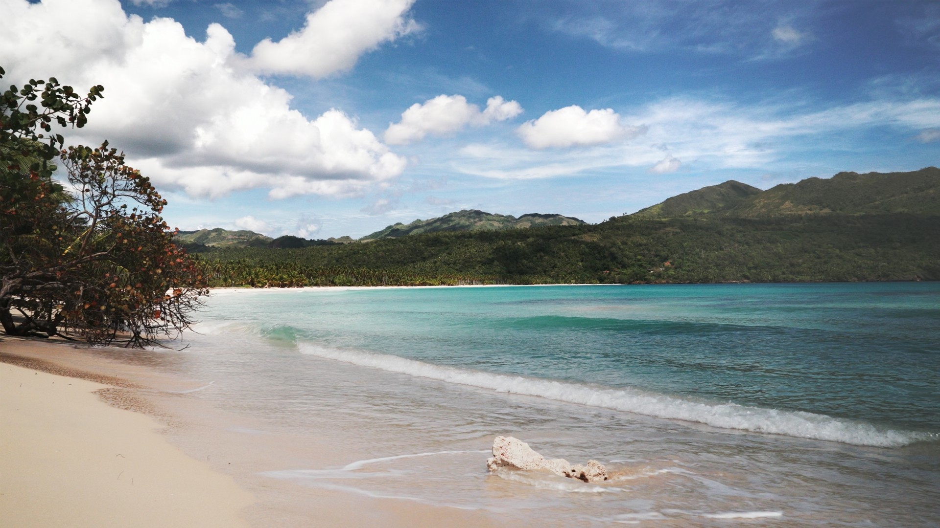 Tropical Bay: Dominican Republic