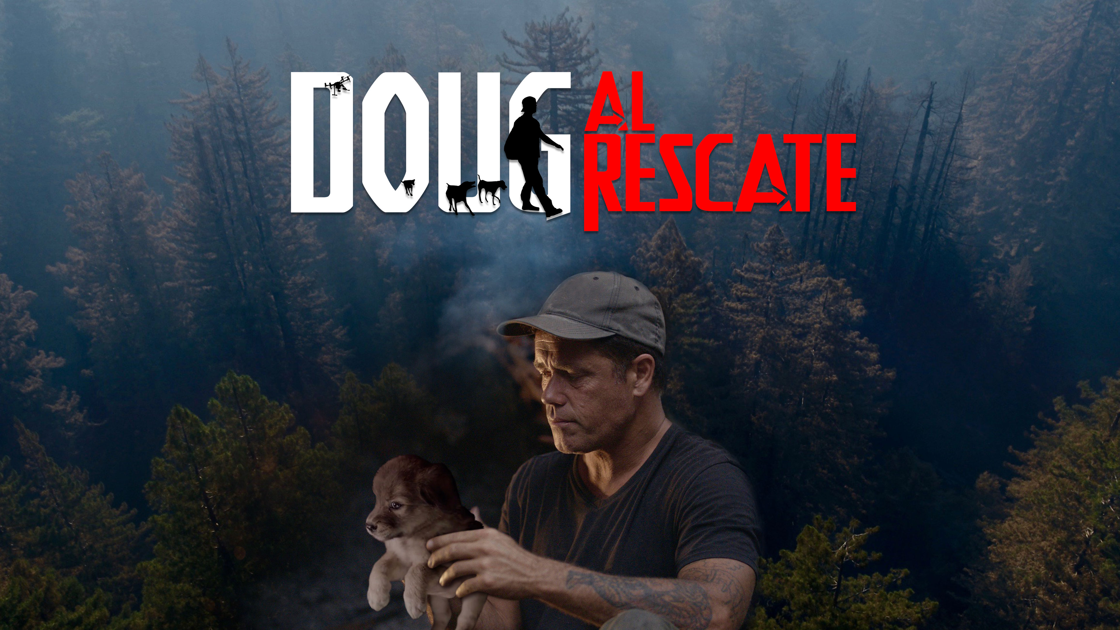 Los Gatos del Incendio de Oregon