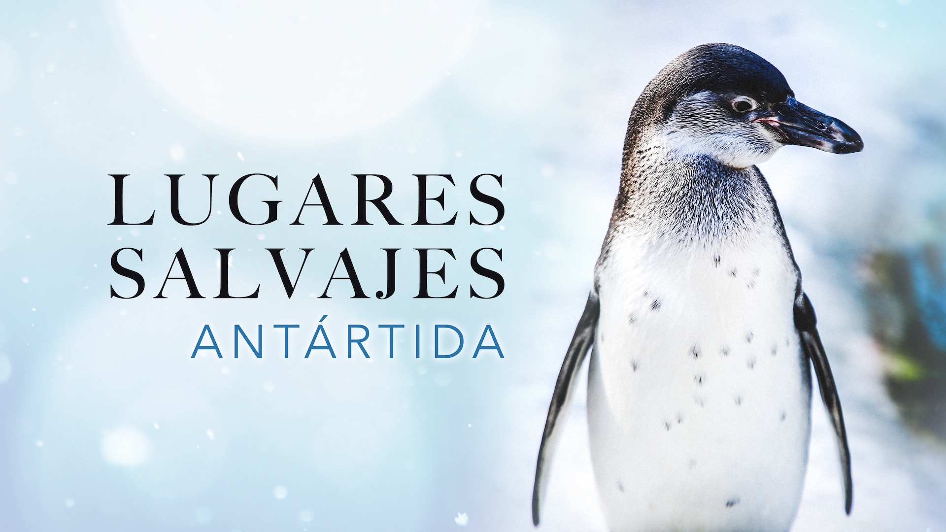 Lugares salvajes: Antártida