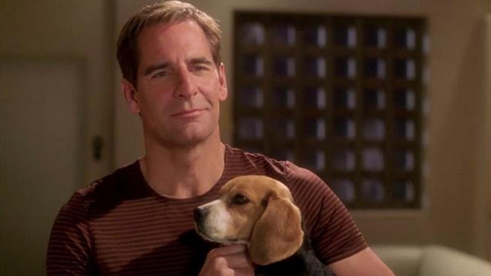 Star Trek: Enterprise