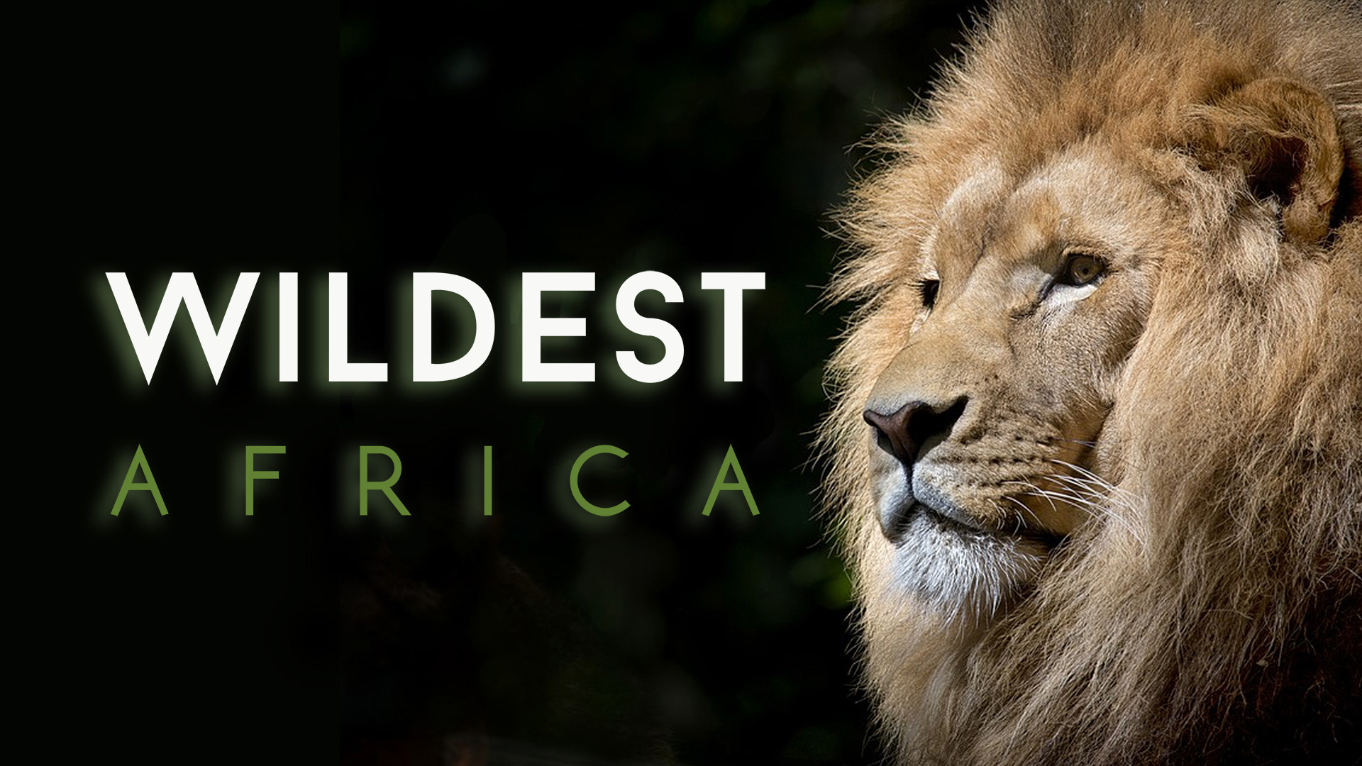 Wildest Africa