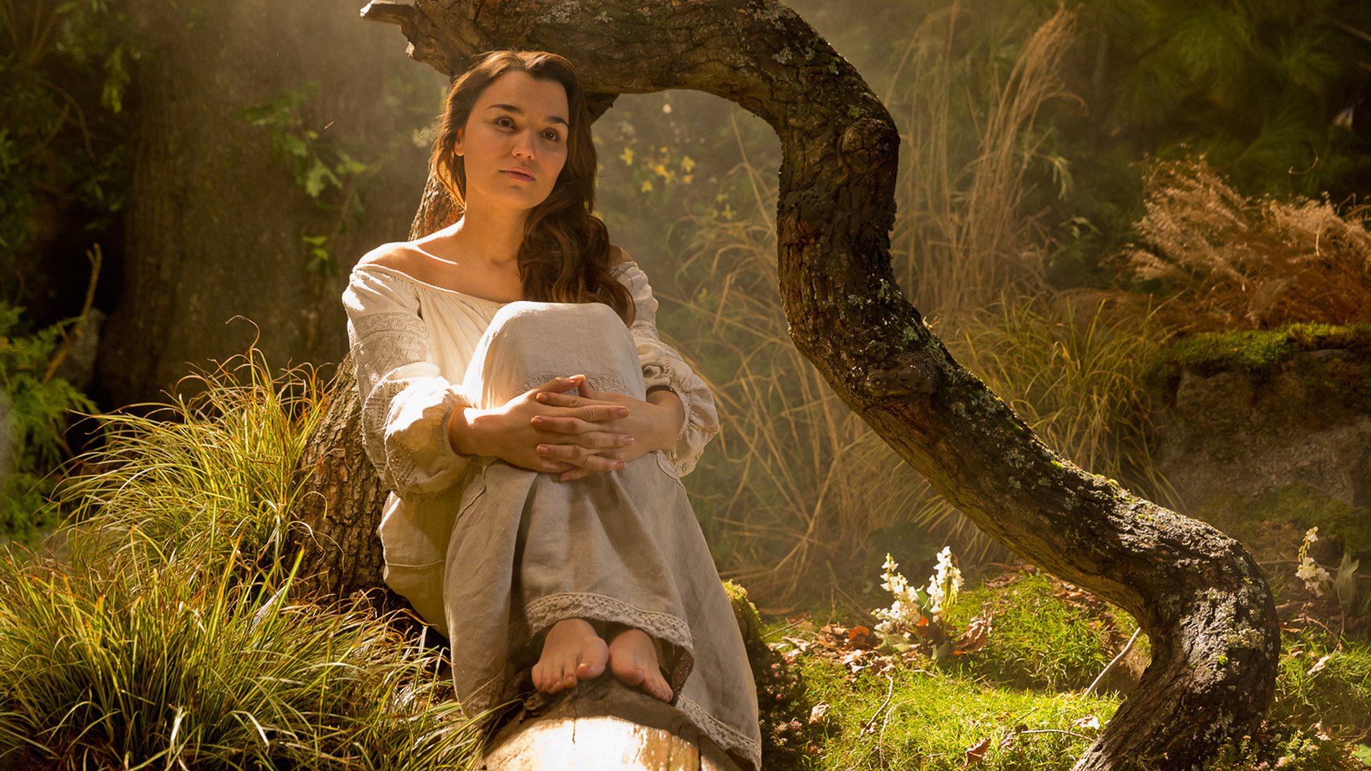 Holodomor: Bittere Ernte