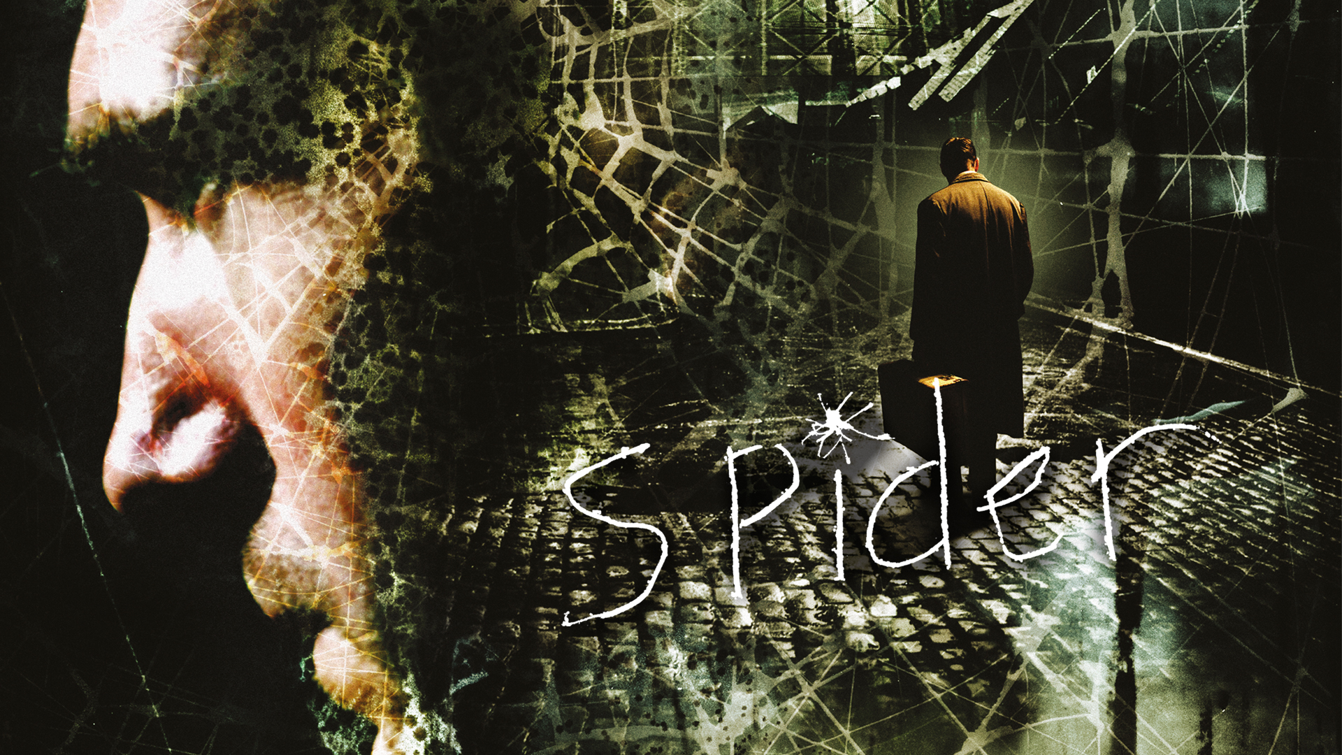 Spider