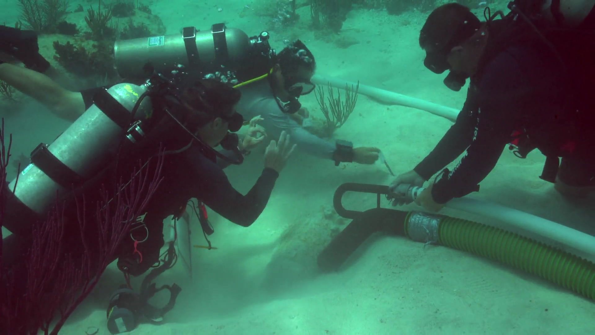 La Cacería del Barco de Esclavos «Guerrero»