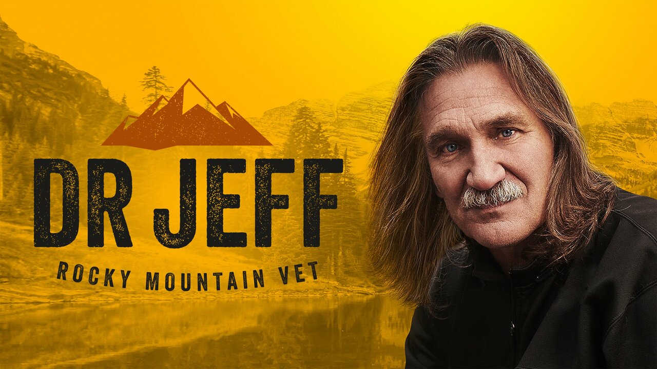 Dr. Jeff: Rocky Mountain Vet: Hero Dog