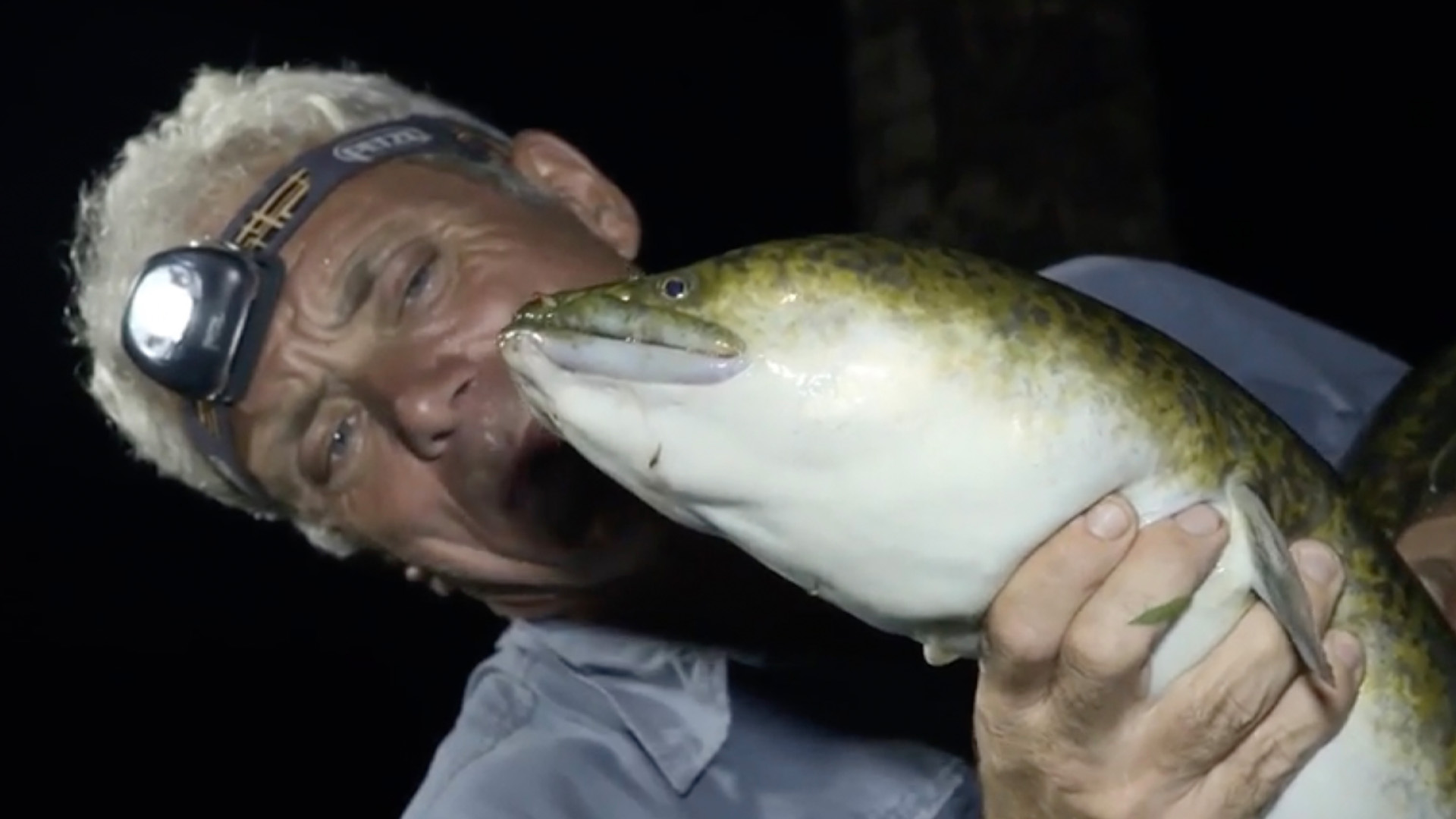 Die Killerfische des Südpazifik