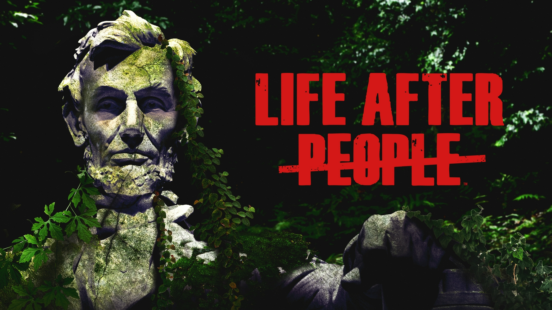 Life After People