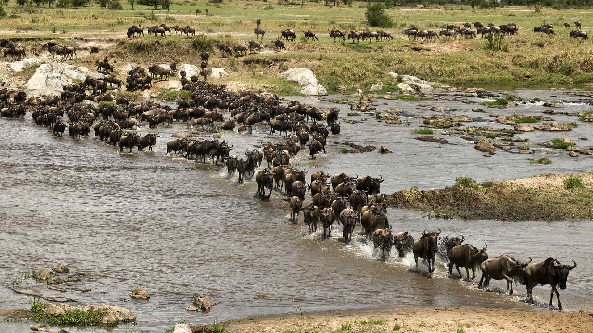 Le nevi del Kilimangiaro